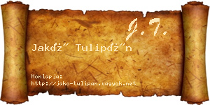 Jakó Tulipán névjegykártya